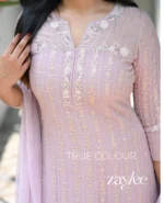 Nude Pink Handwork Chikankari Kurta - Image 2