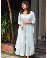 Powder Blue Chikankari Panel Anarkali & Net dupatta - Image 2