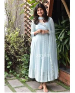 Powder Blue Chikankari Panel Anarkali & Net dupatta - Image 6