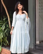 Powder Blue Chikankari Panel Anarkali & Net dupatta