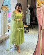 Pistachio Green Panel Anarkali - Image 3